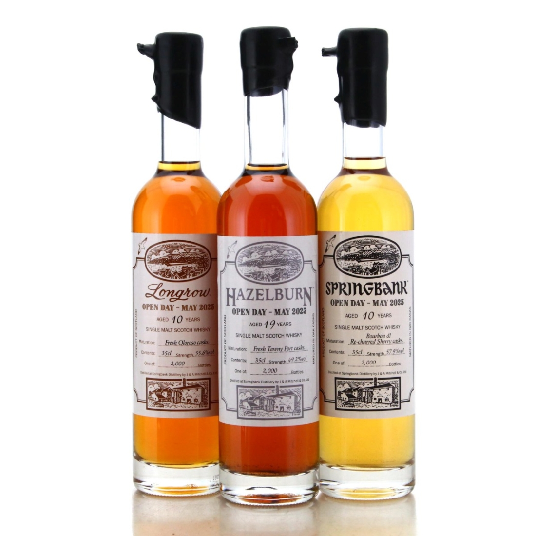 Springbank Open Day Releases 2025 x 3 Whisky
